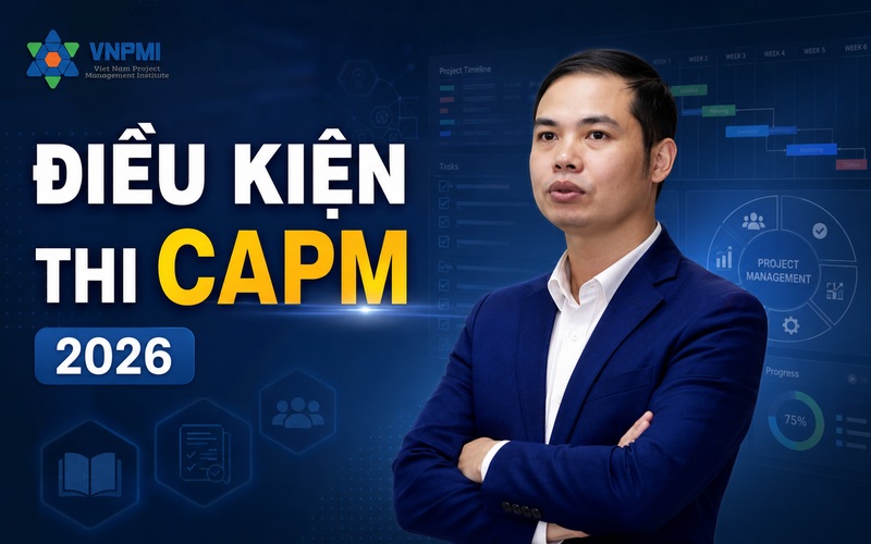 Viện Quản lý dự án Việt Nam - VNPMI