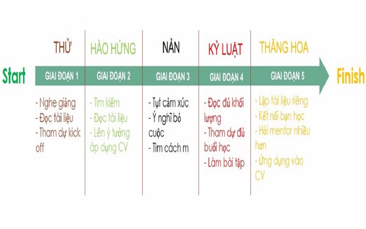 Lộ trình học PMP từ người mới đến ngày thi